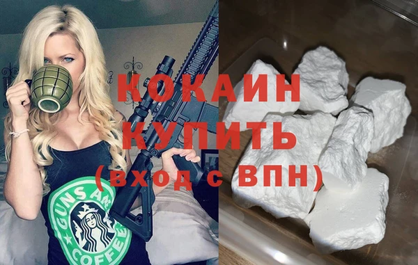 крисы Гусев