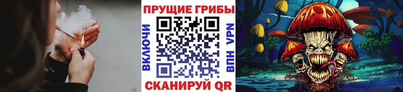 Галлюциногенные грибы MAGIC MUSHROOMS  Куса 