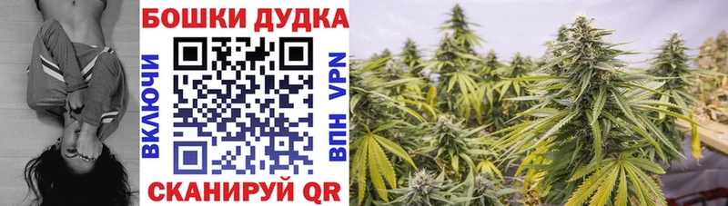 гидра ТОР Куса Шишки марихуана семена